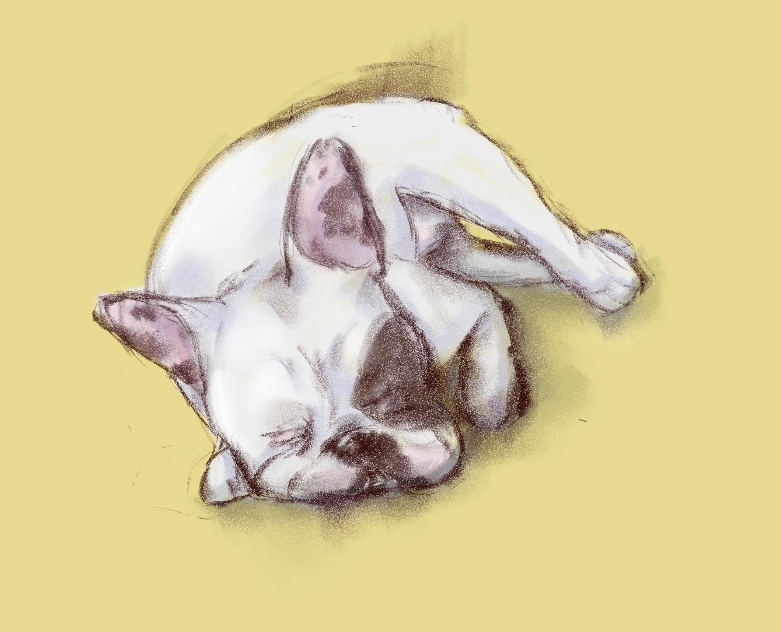 Art Study of Benson